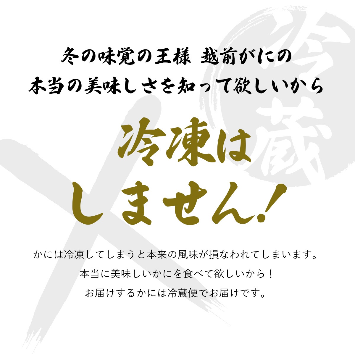 越前ずわいがに