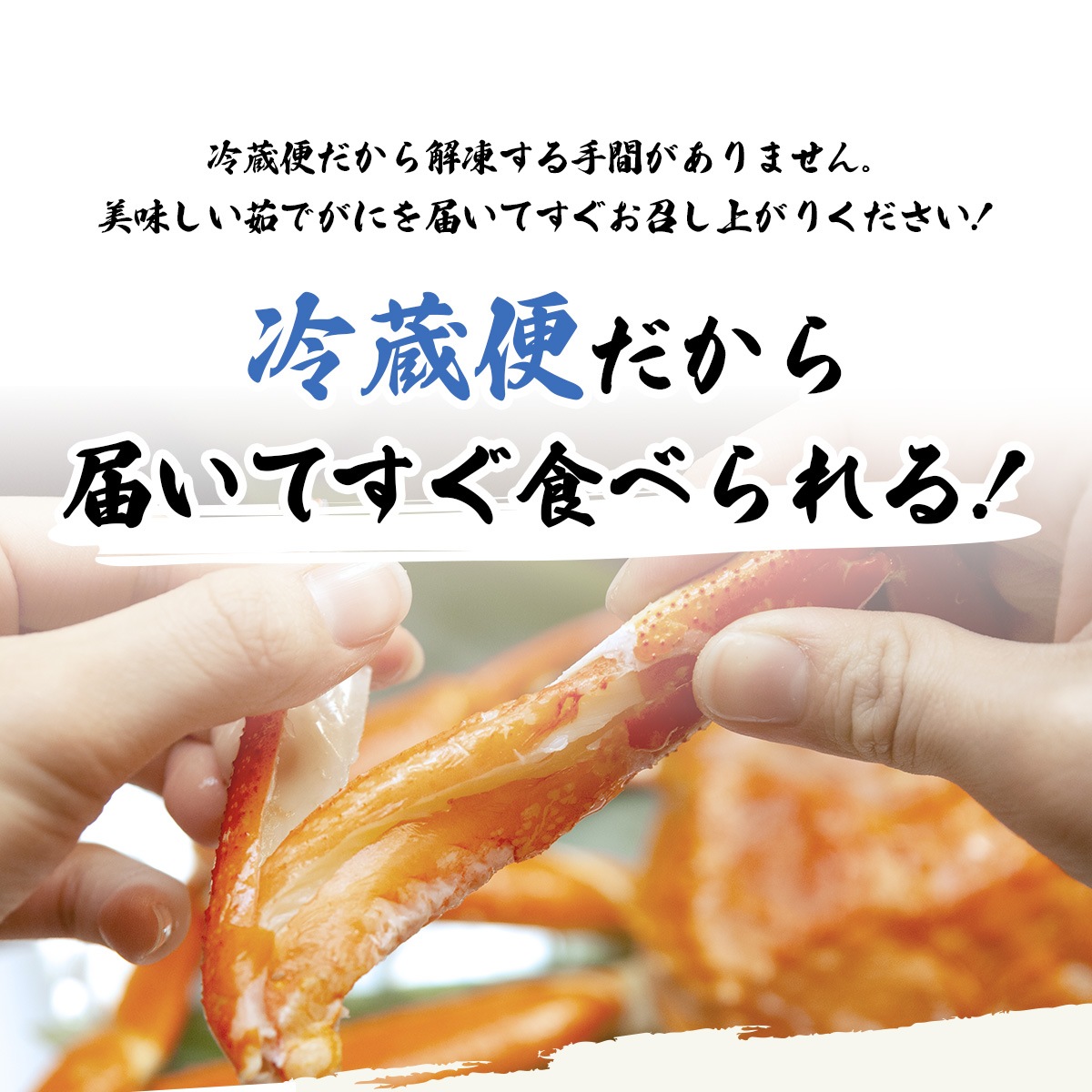 越前ずわいがに