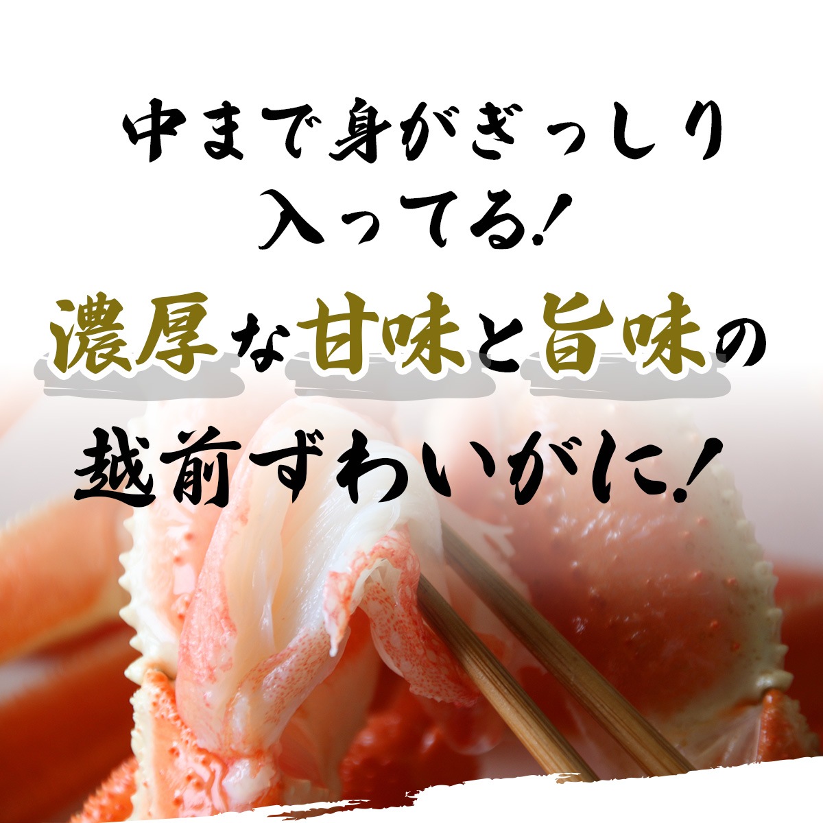 越前ずわいがに