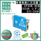 ICC46  IC46  ꥵʡʥꥫECI-E46C
