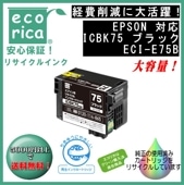 ICBK75 ֥å IC75  ꥵʡʥꥫECI-E75B