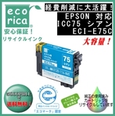ICC75  IC75  ꥵʡʥꥫECI-E75C