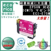 ICM75 ޥ IC75  ꥵʡʥꥫECI-E75M