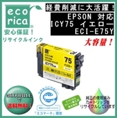 ICY75  IC75  ꥵʡʥꥫECI-E75Y