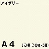 A4������ ���顼���ԡ��ѻ� 2500���500���5���˥����ܥ꡼���̱�NEW�ե����󥫥顼��