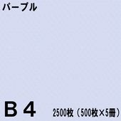 B4������ ���顼���ԡ��ѻ� 2500���500���5���˥ѡ��ץ���̱�NEW�ե����󥫥顼��