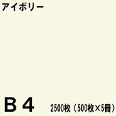 B4������ ���顼���ԡ��ѻ� 2500���500���5���˥����ܥ꡼���̱�NEW�ե����󥫥顼��