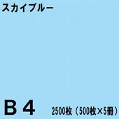 B4������ ���顼���ԡ��ѻ� 2500���500���5���˥������֥롼���̱�NEW�ե����󥫥顼��