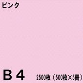 B4������ ���顼���ԡ��ѻ� 2500���500���5���˥ԥ󥯡��̱�NEW�ե����󥫥顼��