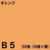 B5������ ���顼���ԡ��ѻ� 2500���500���5���˥���󥸡��̱�NEW�ե����󥫥顼��