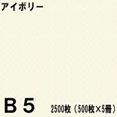 B5������ ���顼���ԡ��ѻ� 2500���500���5���˥����ܥ꡼���̱�NEW�ե����󥫥顼��