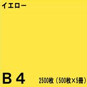 B4������ ���顼���ԡ��ѻ� 2500���500���5���˥����������̱�NEW�ե����󥫥顼��