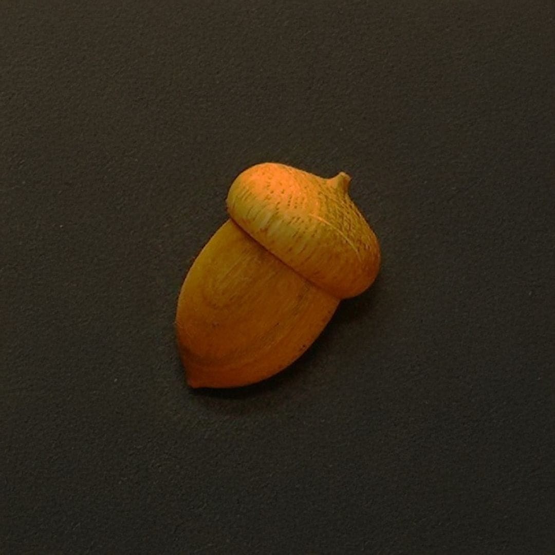 どんぐりマグネット〔予約販売/12月上旬お届け予定〕