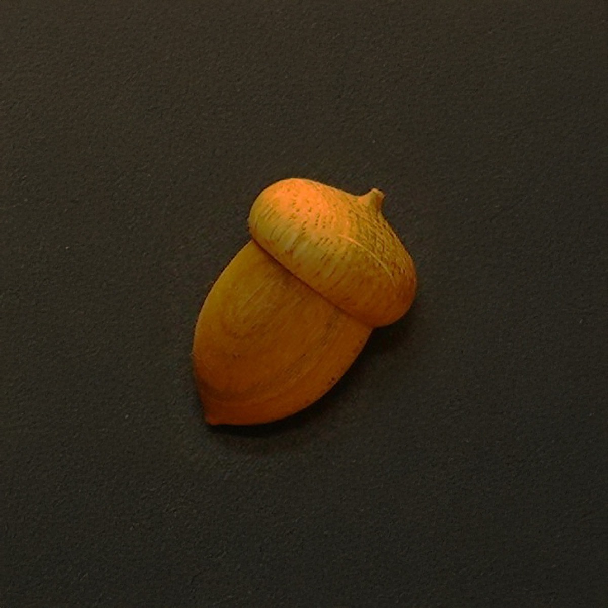 どんぐりマグネット｜オークヴィレッジオンラインショップ