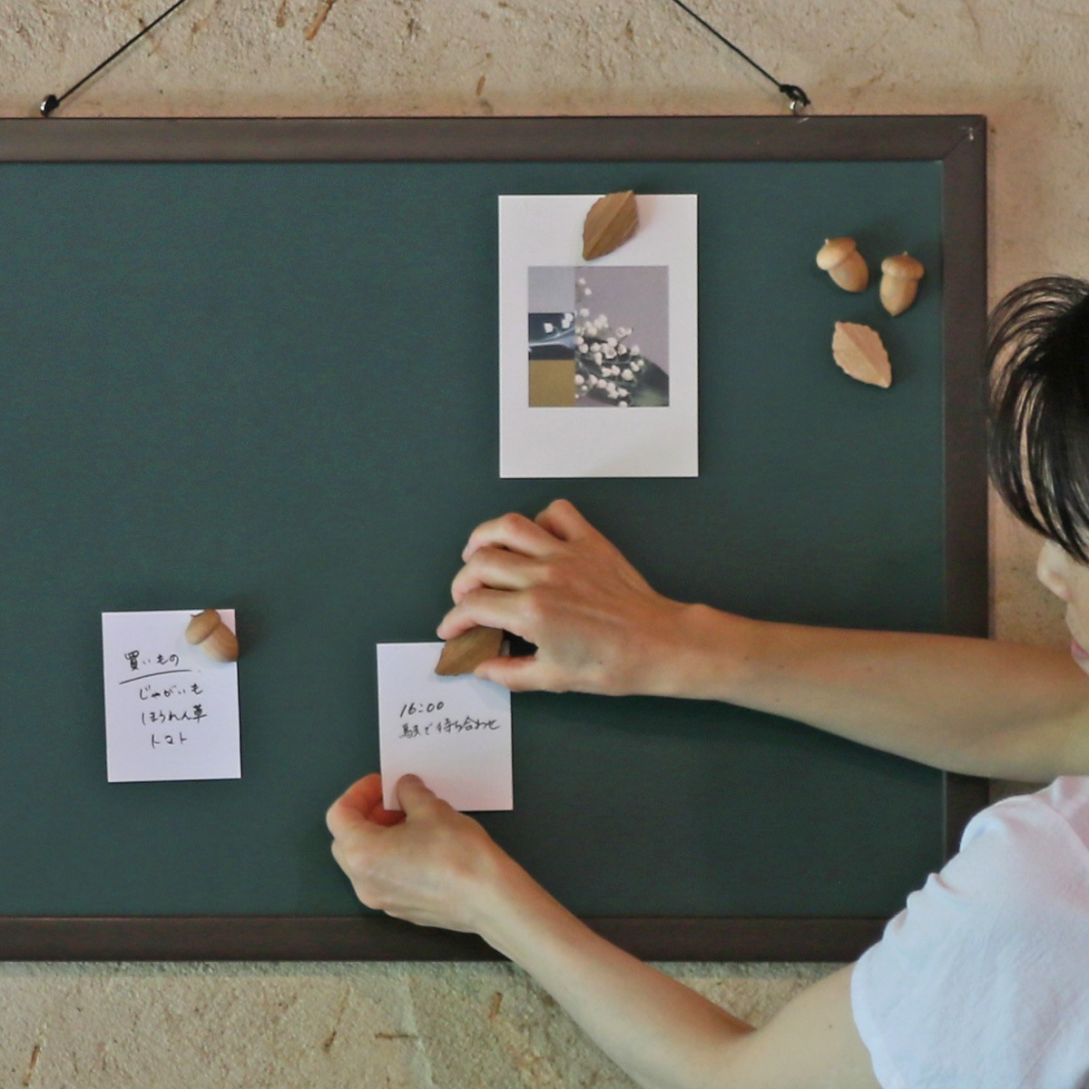 どんぐりマグネット｜オークヴィレッジオンラインショップ