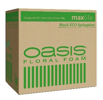  ֥å եե ץ󥰥ࡡ12