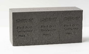  ֥å եե ץ󥰥ࡡ12