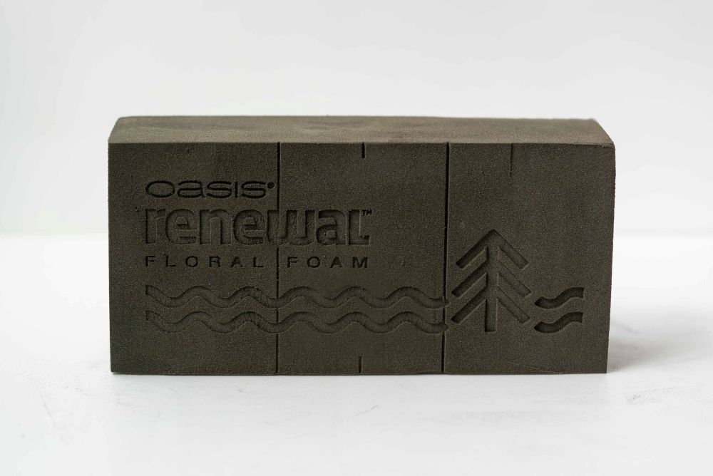 �������� ��˥塼�� �ե������ե����� ������������12�����ꡡ��OASIS��� Renewal��� Floral Foam