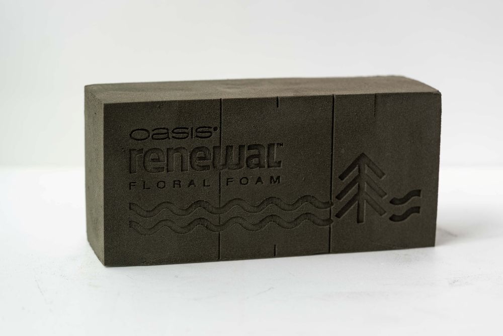 �������� ��˥塼�� �ե������ե����� ������������12�����ꡡ��OASIS��� Renewal��� Floral Foam