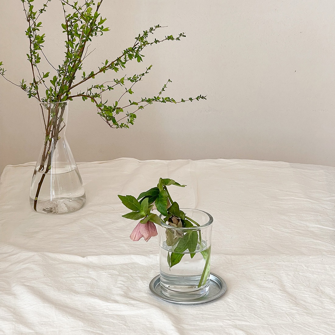 TUB（タブ）トレイ SSサイズ（TTRSS）