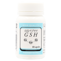 ڴѡۥ參ץfor pro GSH(̥ڥץ)