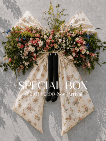 SPECIAL BOX 2026SS（通常ver.）