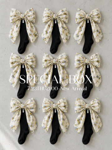 【7/23(木)21:00発売】SOCKS BOX 2026SS（限定ソックス2点つき）