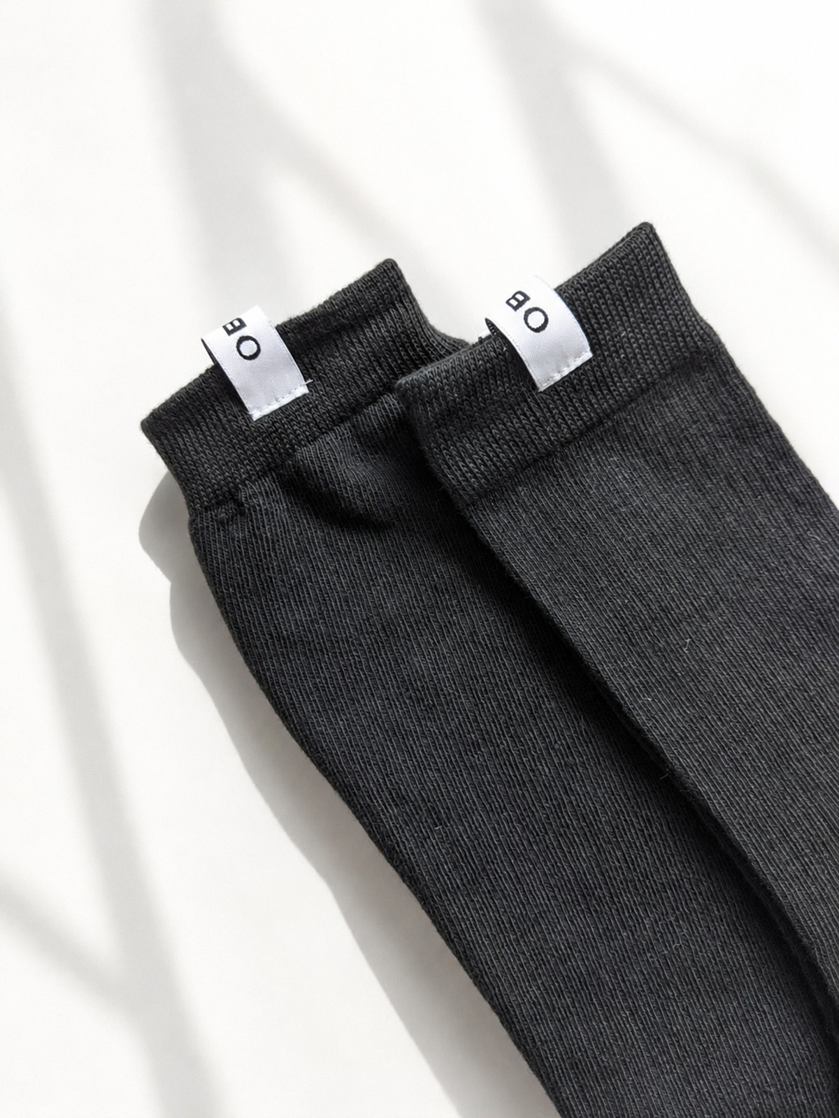 SOCKS BOX 2026SS（限定ソックス2点つき）