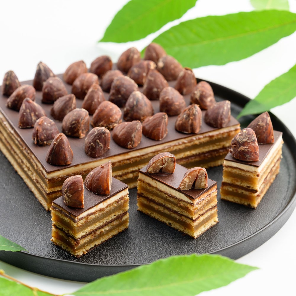 ���ڥ饱�����ַ��ס���25������ (����ȯ��)