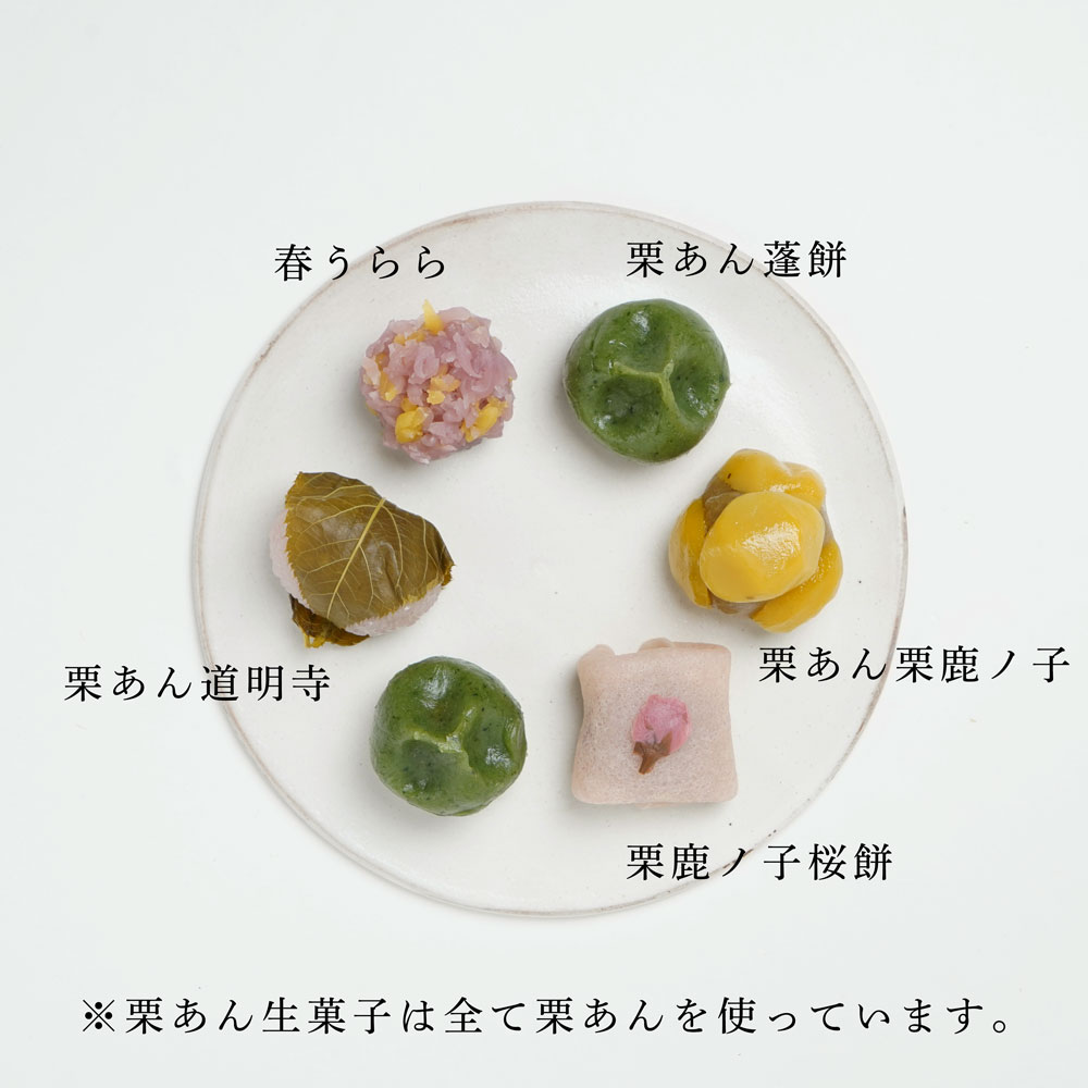 ����������ۻ� 12������������