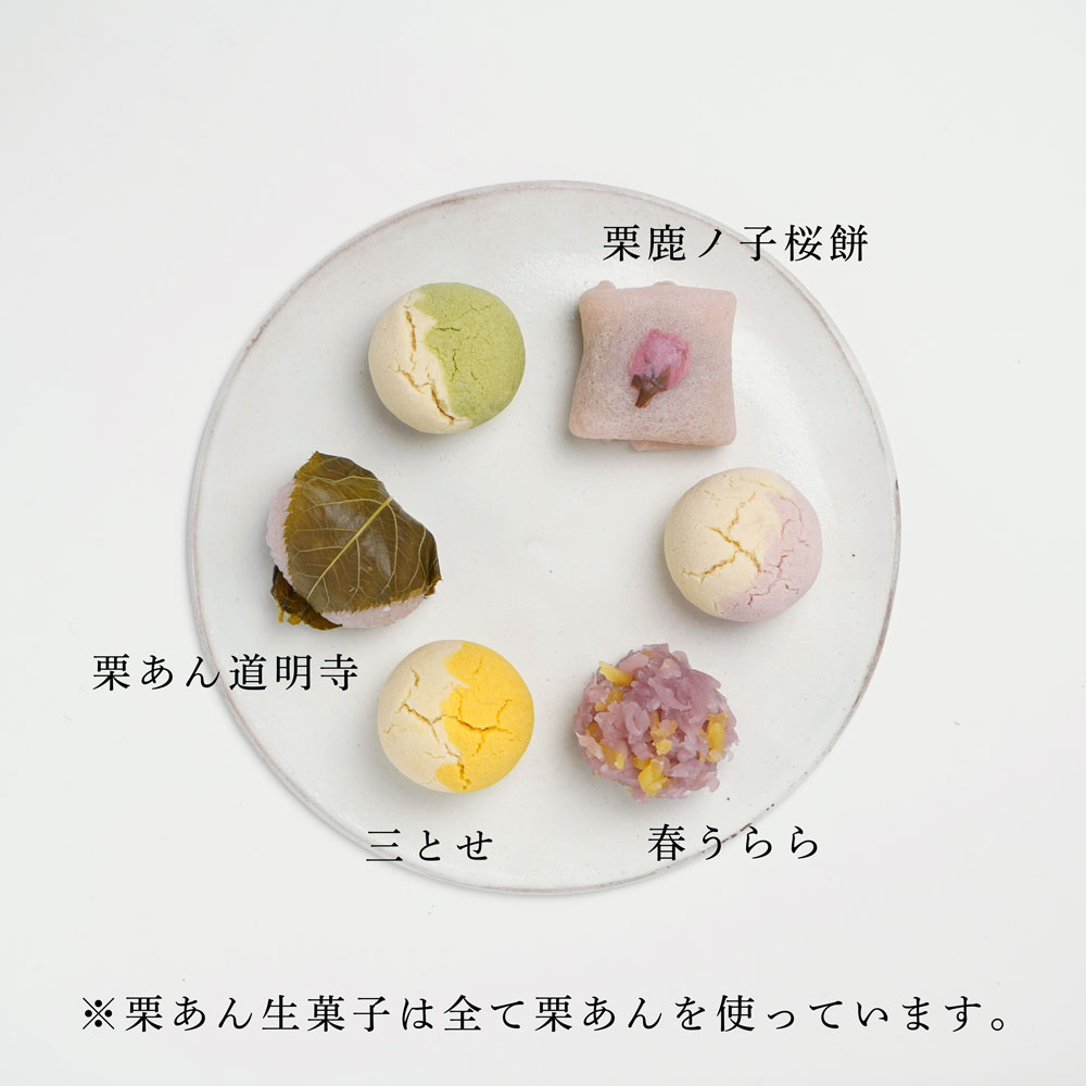 ����������ۻ� 12������������