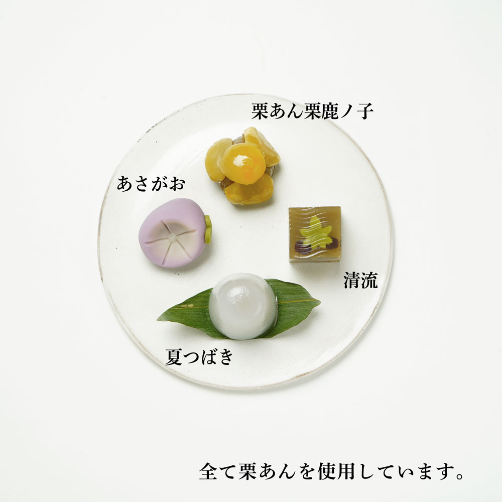 ۻ 8ʸ (ȯ)