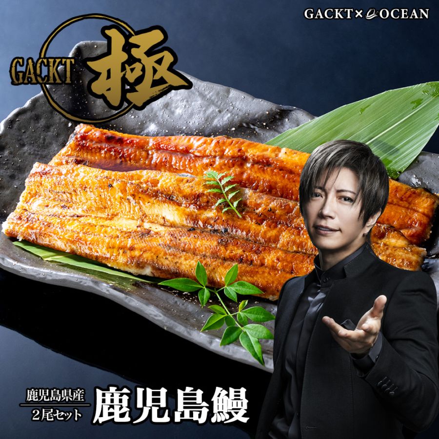 極シリーズ 全一覧 | GACKT×OCEAN