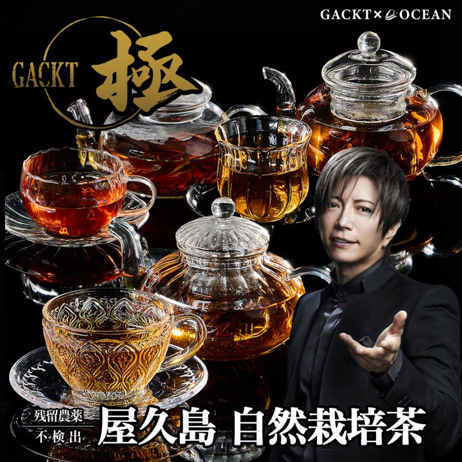 GACKT 極 シリーズ
