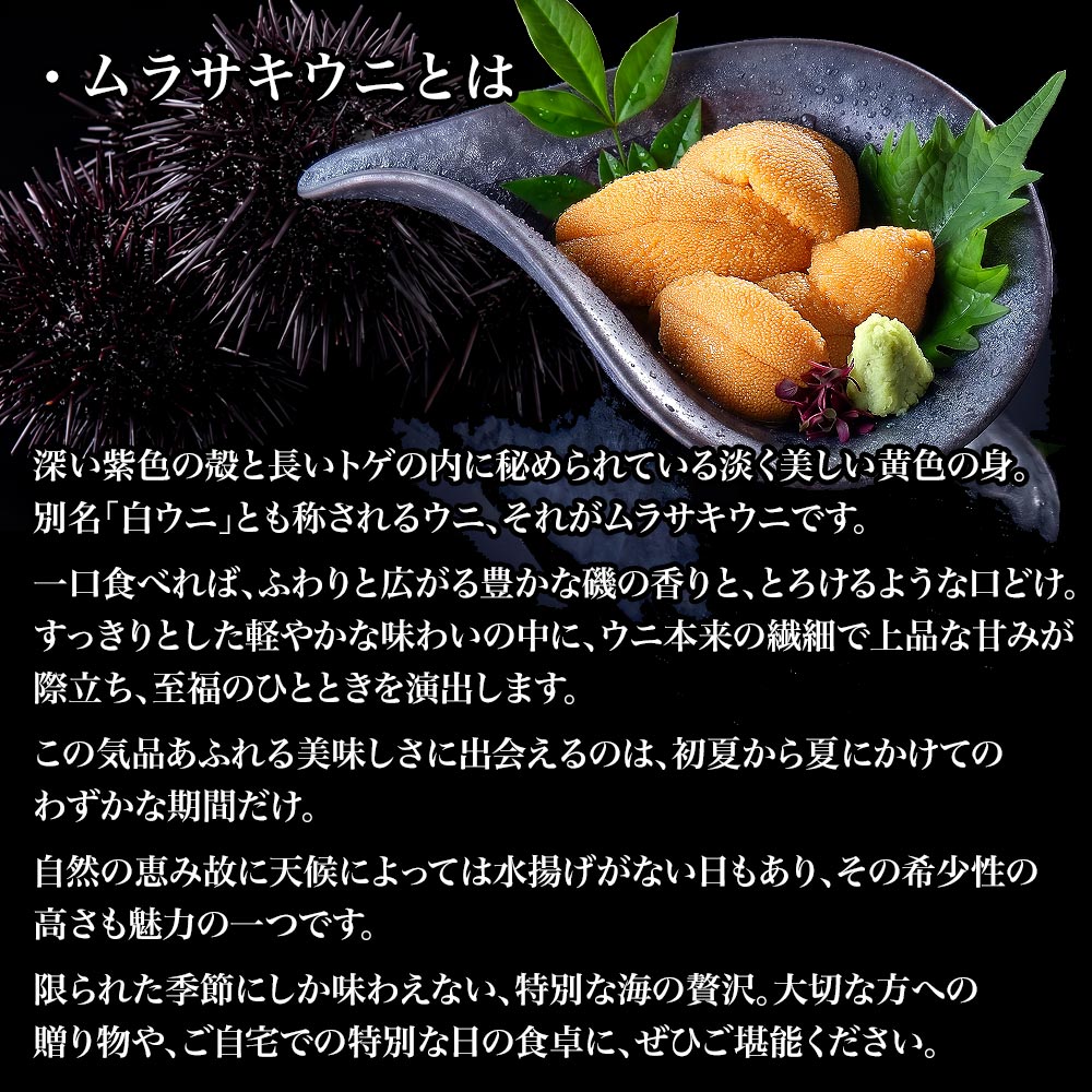 予約品 水揚げ次第発送 極 塩水ウニ 100g 塩水パック チルド配送 〜最も美味とされる「旬」の時期のみ提供〜