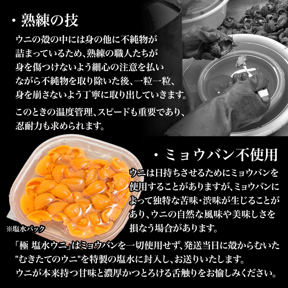 予約品 水揚げ次第発送 極 塩水ウニ 100g 塩水パック チルド配送 〜最も美味とされる「旬」の時期のみ提供〜