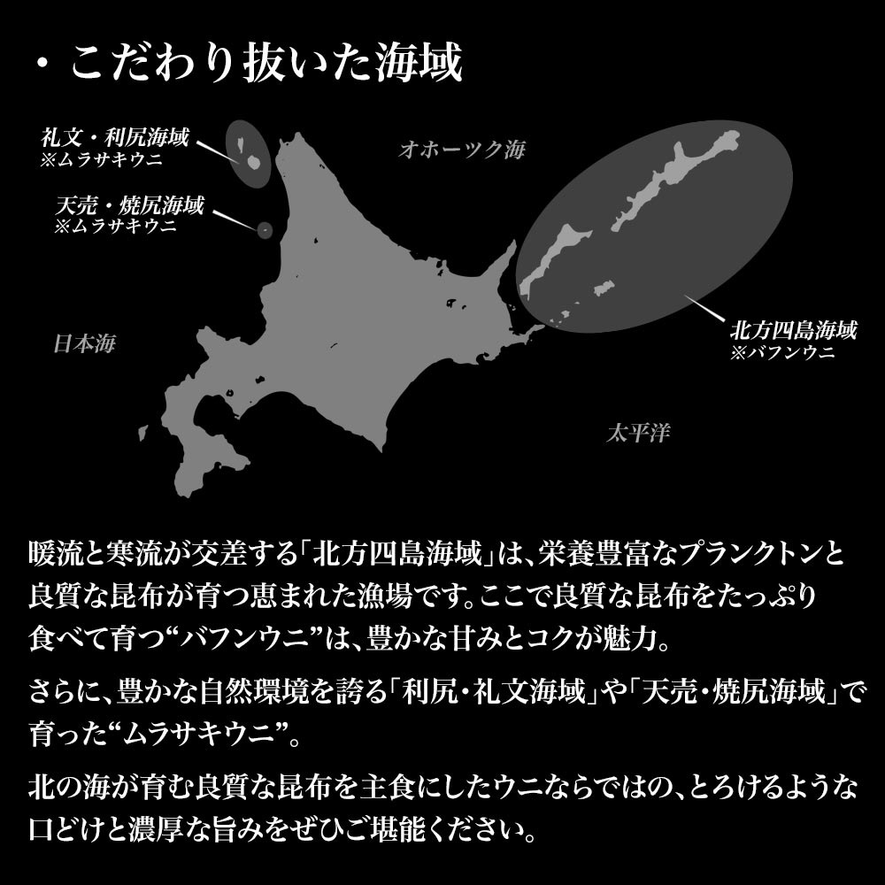 予約品 水揚げ次第発送 極 塩水ウニ 100g 塩水パック チルド配送 〜最も美味とされる「旬」の時期のみ提供〜