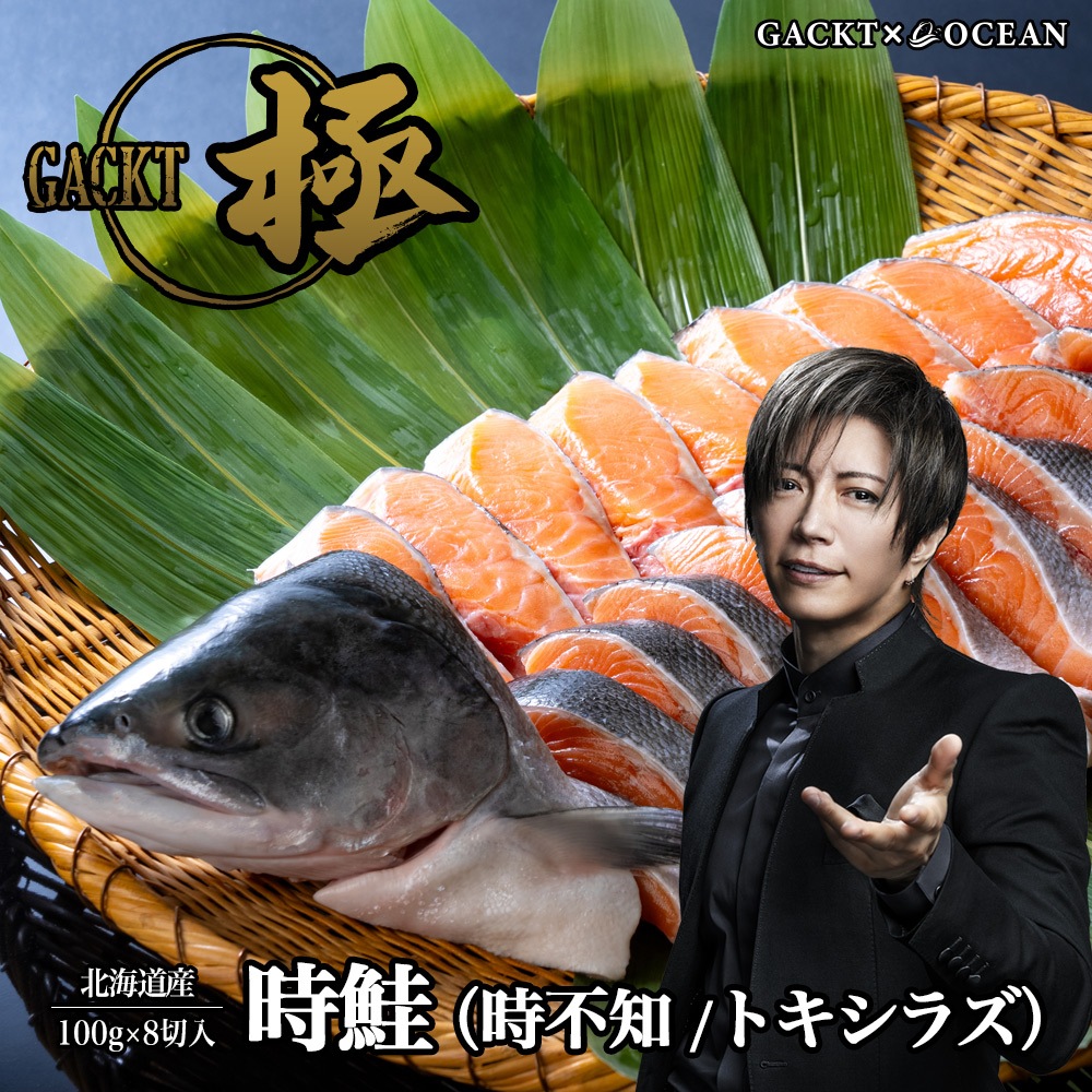 北海道産 時鮭 （時不知/トキシラズ） 切り身 100g×8切入 ※甘口仕上げ