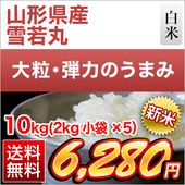 ���� �������� ���ݡ�8ǯϢ³��Aɾ�������� 10kg��2kg��5�ޡˡ�����̵���ۡ�¨���в١ۡ����ޤ����ǽ�Ŷ����������8ǯ(2026ǯ)��