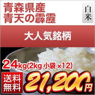 青森県産 青天の霹靂 白米 24kg(2kg ×12袋) 【送料無料】【米袋
