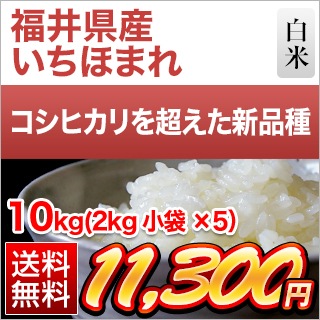 福井県産 いちほまれ 10kg 白米 単一原料米 令和6年産 [4月上旬精米] 2_000000000457.png?1741912158