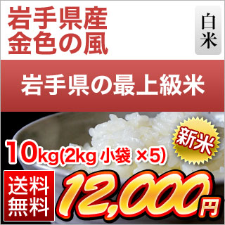 新米 岩手県産 金色の風 白米〈岩手の最高級米 新品種〉10kg（2kg×5袋