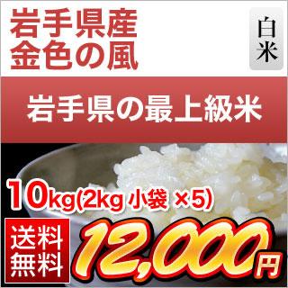 岩手県産 金色の風 白米〈岩手の最高級米 新品種〉10kg（2kg×5袋