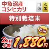 ���� ���㸩����»� �����ҥ������Aɾ�������ơ����� 2kg�����̺����ơۡ������Ի����ơۡ����ޤ����ǽ�Ŷ����������8ǯ(2026ǯ)��