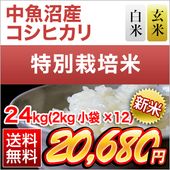 ���� ���㸩����»� �����ҥ������Aɾ�������ơ����� 24kg(2kg��12�ޡˡ����̺����ơۡ������Ի����ơۡ�����̵���ۡ����ޤ����ǽ�Ŷ����������8ǯ(2026ǯ)��
