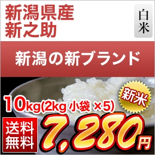 新米 新潟県産 新之助 白米 10kg（2kg×5袋）【送料無料】【即日出荷