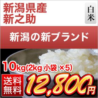 新潟県産 新之助 白米 10kg（2kg×5袋）【送料無料】【米袋は窒素充填