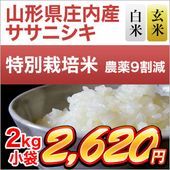 ���������⻺ �����˥��� 2kg�����ơ����ơۡ����̺����ơۡ����ޤ����ǽ�Ŷ����������7ǯ(2025ǯ)��