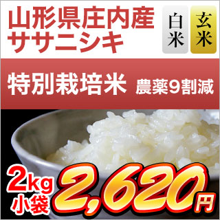 山形県庄内産 ササニシキ 2kg【白米・玄米】【特別栽培米】【米袋は