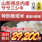 ���������⻺ �����˥��� 24kg(2kg��12��)�����ơ����ơۡ����̺����ơۡ�����̵�������ǽ�Ŷ����������7ǯ(2025ǯ)��